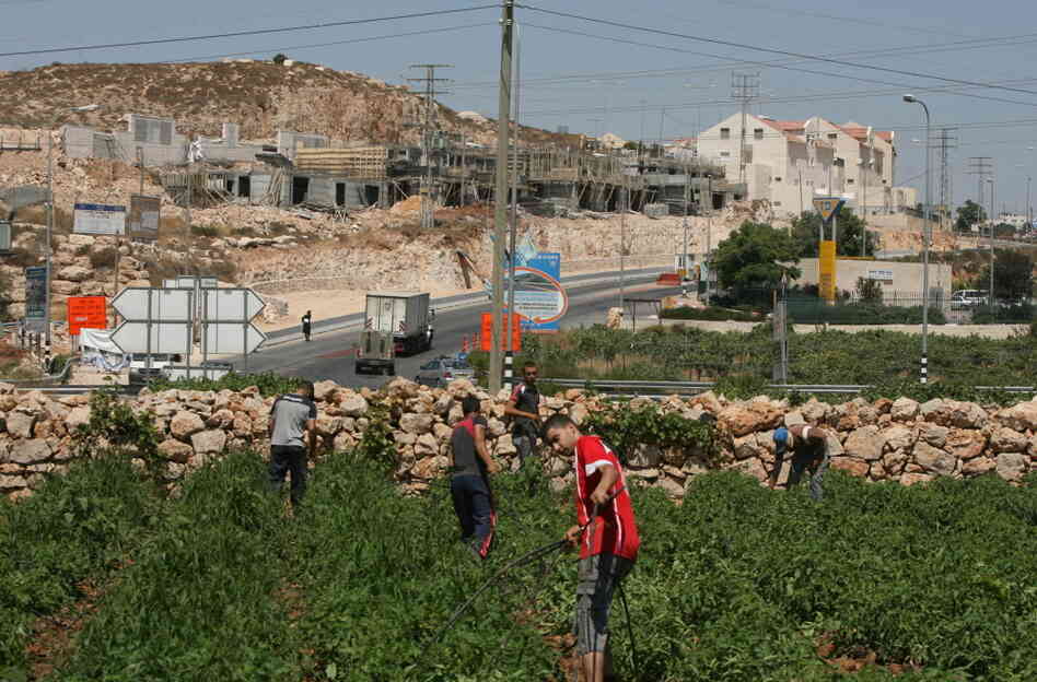 Arab-Israeli employees working with the Arab-Israeli employees working with the